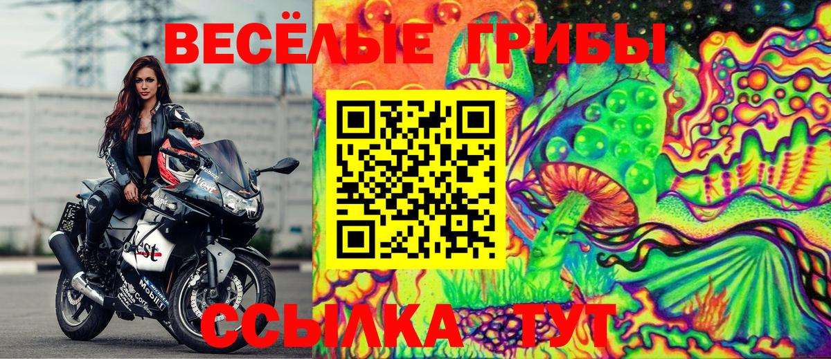 Галлюциногенные грибы MAGIC MUSHROOMS  Вход с VPN  Бахчисарай 